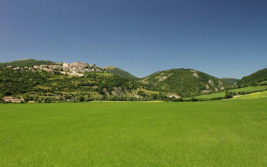 Campi di grano - Monteleone di Spoleto