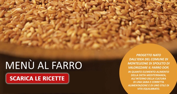 Ricette al farro 